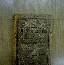 The American Intellectual Arithmetic